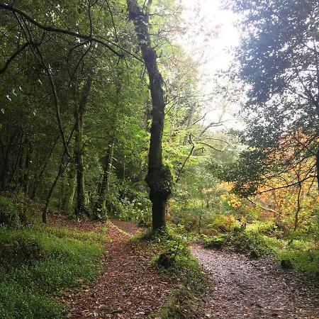 Сasa de vacaciones Bacelar Pineiro (Cangas)